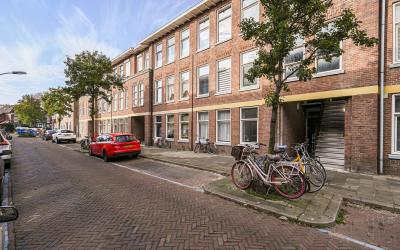 van Heurnst. 29