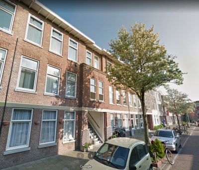 van Heurnst. 41
