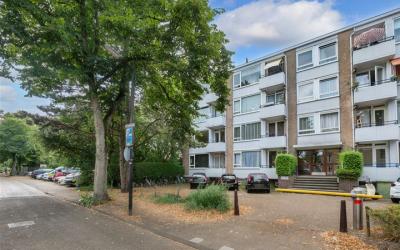 Tulpstraat 7