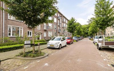 van Dijckla. 39