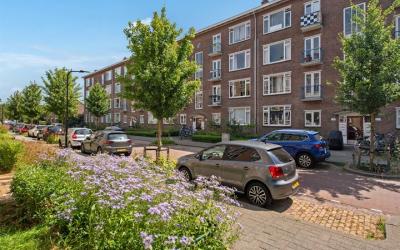 van Dijckla. 67
