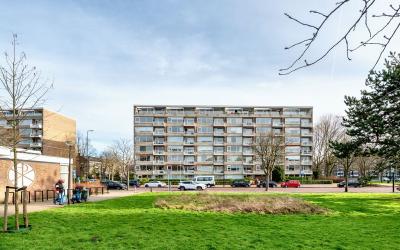 Steenvoorde. 153
