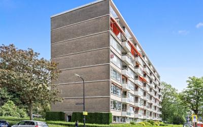 Steenvoorde. 175