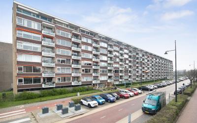 Steenvoorde. 313