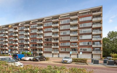 Steenvoorde. 335