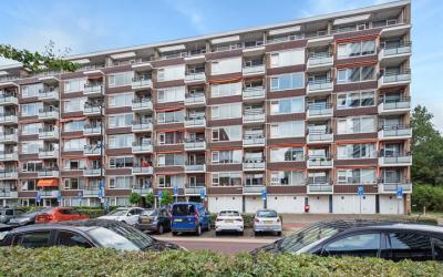 Steenvoordelaan 479
