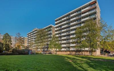 Steenvoordelaan 168