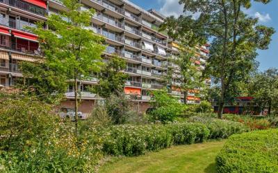 Steenvoorde. 276