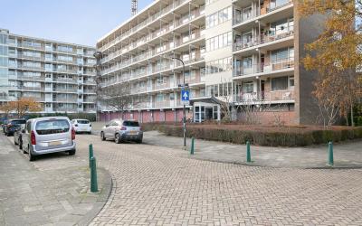 Willem Roya. 84