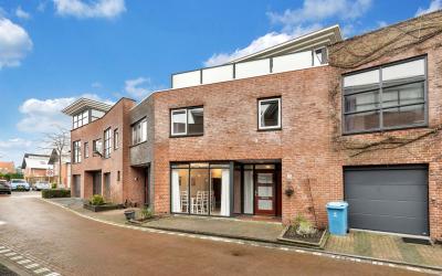 Dotterbloem. 24
