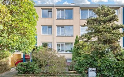 Paukensingel 23