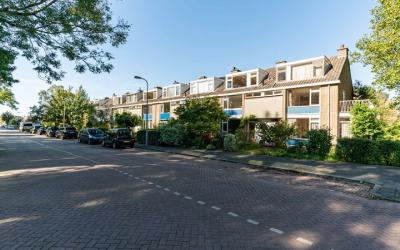 Haantje 2