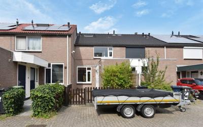 De Colman 34