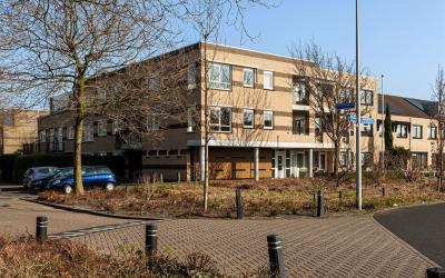 Duijvesteij. 7