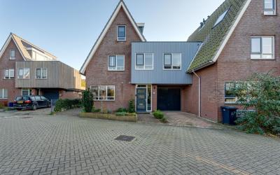Zonnebloems. 29