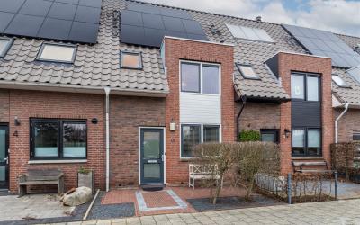 Zonnebloems. 6