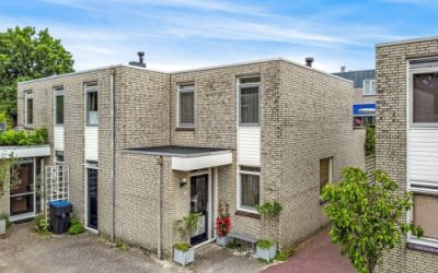 Witte Rozen. 45-C