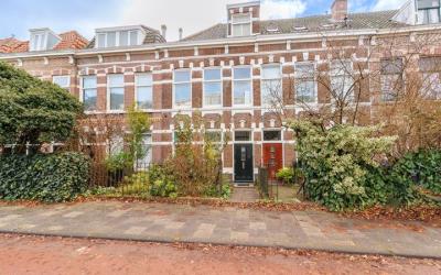 Hoge Rijndi. 41
