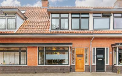 Bakhuis Roo. 31