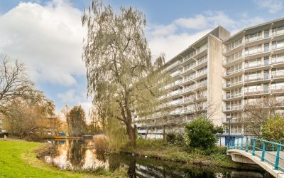 Condorhorst 134