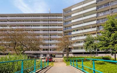 Arendshorst 59