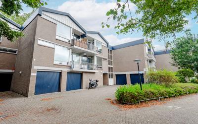 Dagvlinder 124