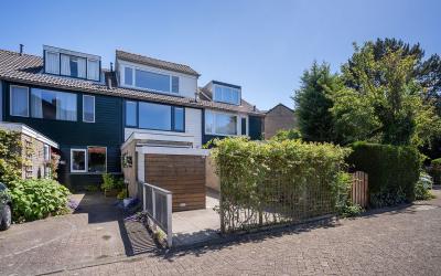 Korenbloem 15