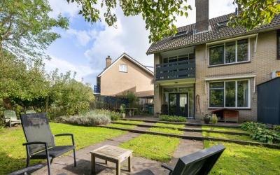 Goudsbloem 6