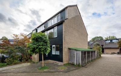 Strobloem 10