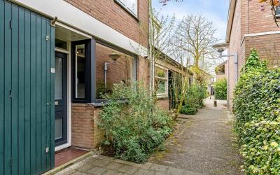 Lupinetuin 12