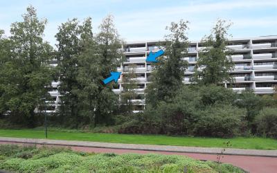 Stadzicht 47
