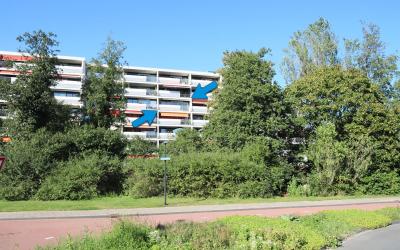 Stadzicht 101