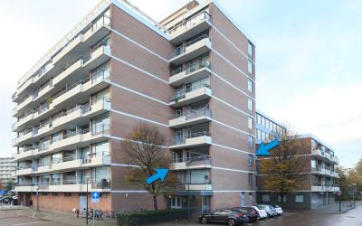 Papiermolen 54