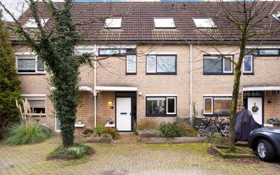 Goudkarper 18