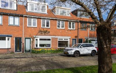Kneppelhout. 29
