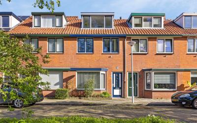 Kneppelhout. 39
