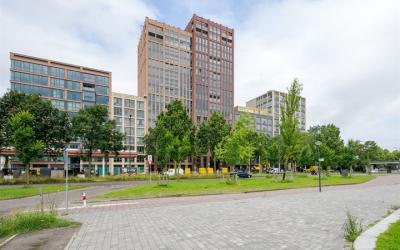 Mangoweg 41