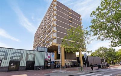 Vijf Meilaan 58