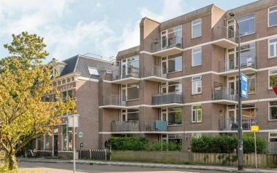 Hasebroekst. 17