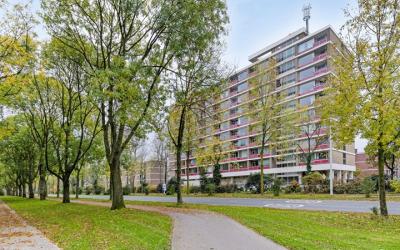 Bachstraat 134