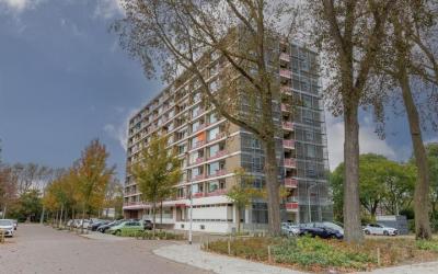 Bachstraat 186