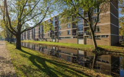 Bachstraat 440