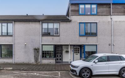 Heintje Dav. 36