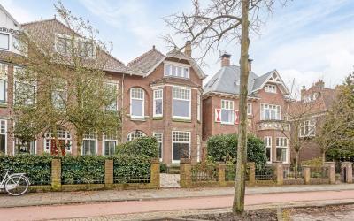 Rijnsburger. 154