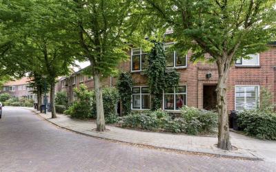 Oude Rijnzi. 43