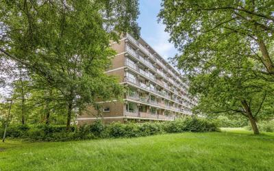 Frans Halsl. 49