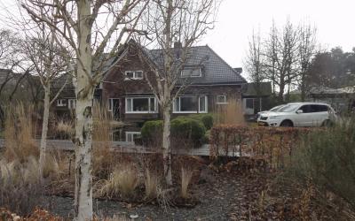 Haarlemmers. 8