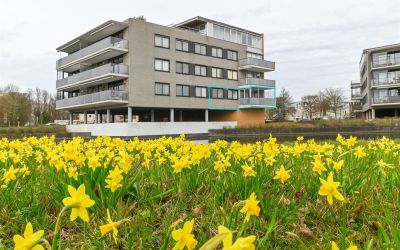 Mien Ruyspark 1