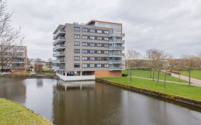 Mien Ruyspa. 41