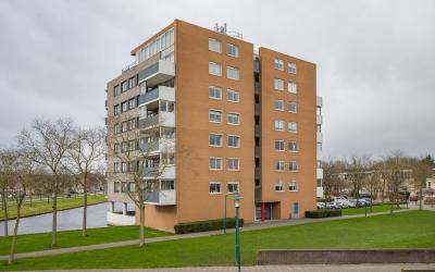 Mien Ruyspa. 56